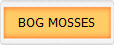 BOG MOSSES