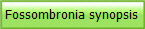 Fossombronia synopsis